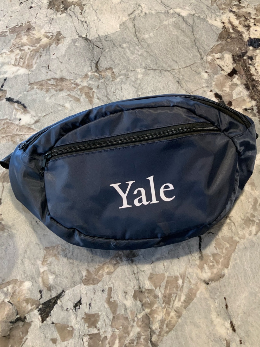 Yale University Fanny Pack Navy